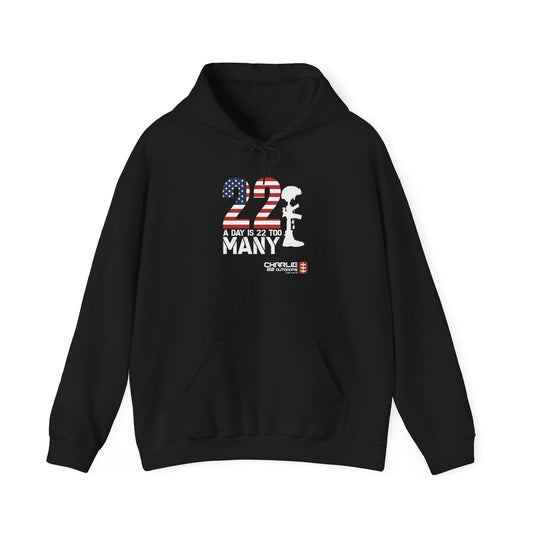 Charlie 22- 22 Too Many Hoodie