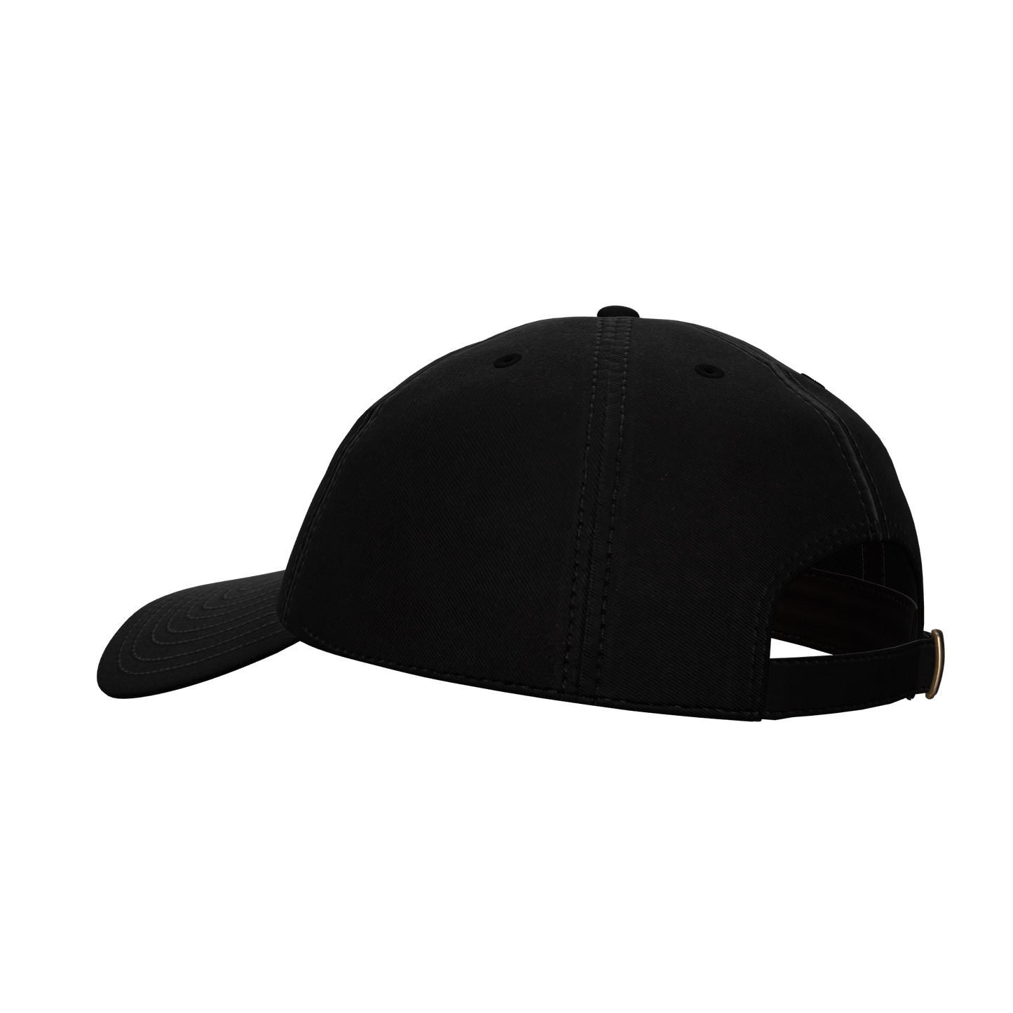 IAVA 47 Dad Hat