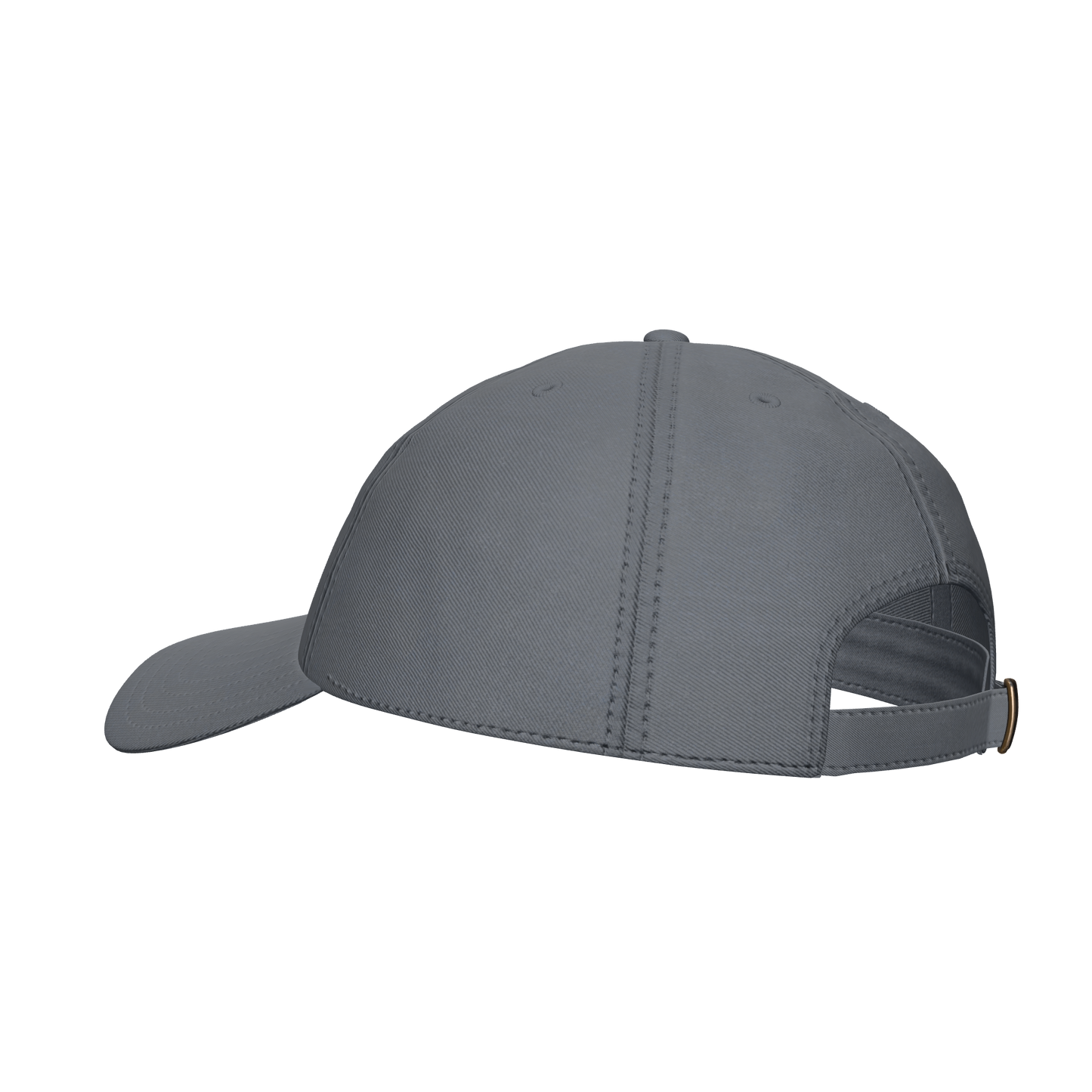 IAVA 47 Dad Hat