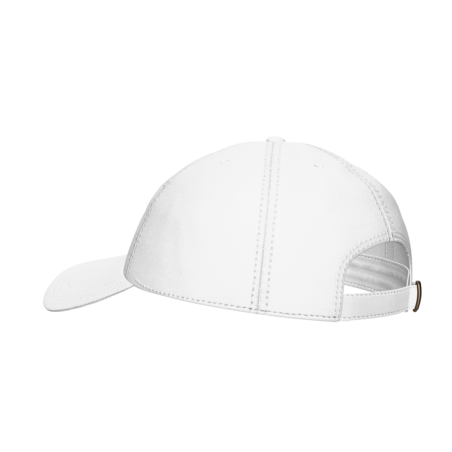IAVA 47 Dad Hat